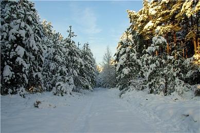 《机动战士高达 激战任务2》独角兽高达介绍PV公开