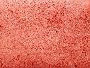 移动端《进化之地2》5月25日上线 首发优惠18元